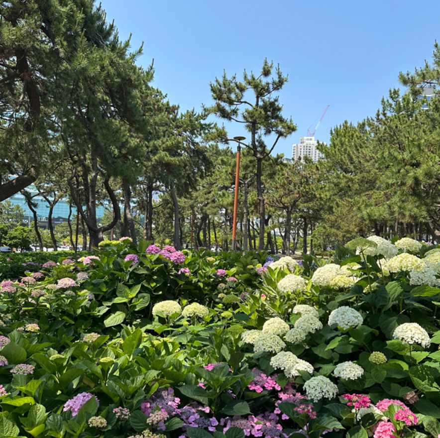 송림공원