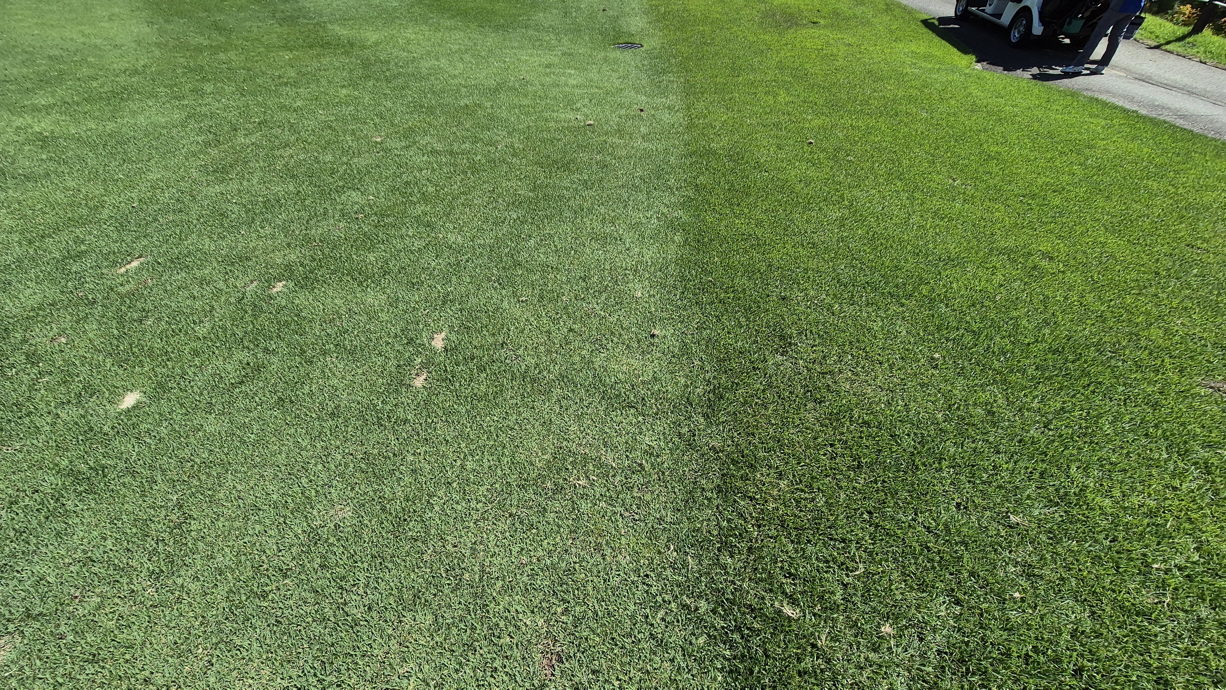 골프존카운티 화랑 라운드 후기