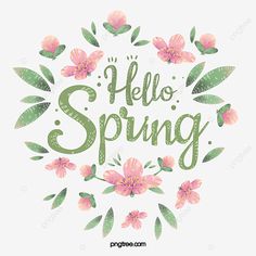 24년 봄 립스틱 컬러 top3