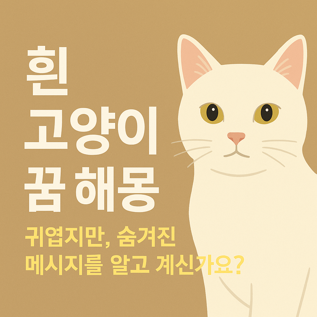 흰 고양이 꿈 해몽