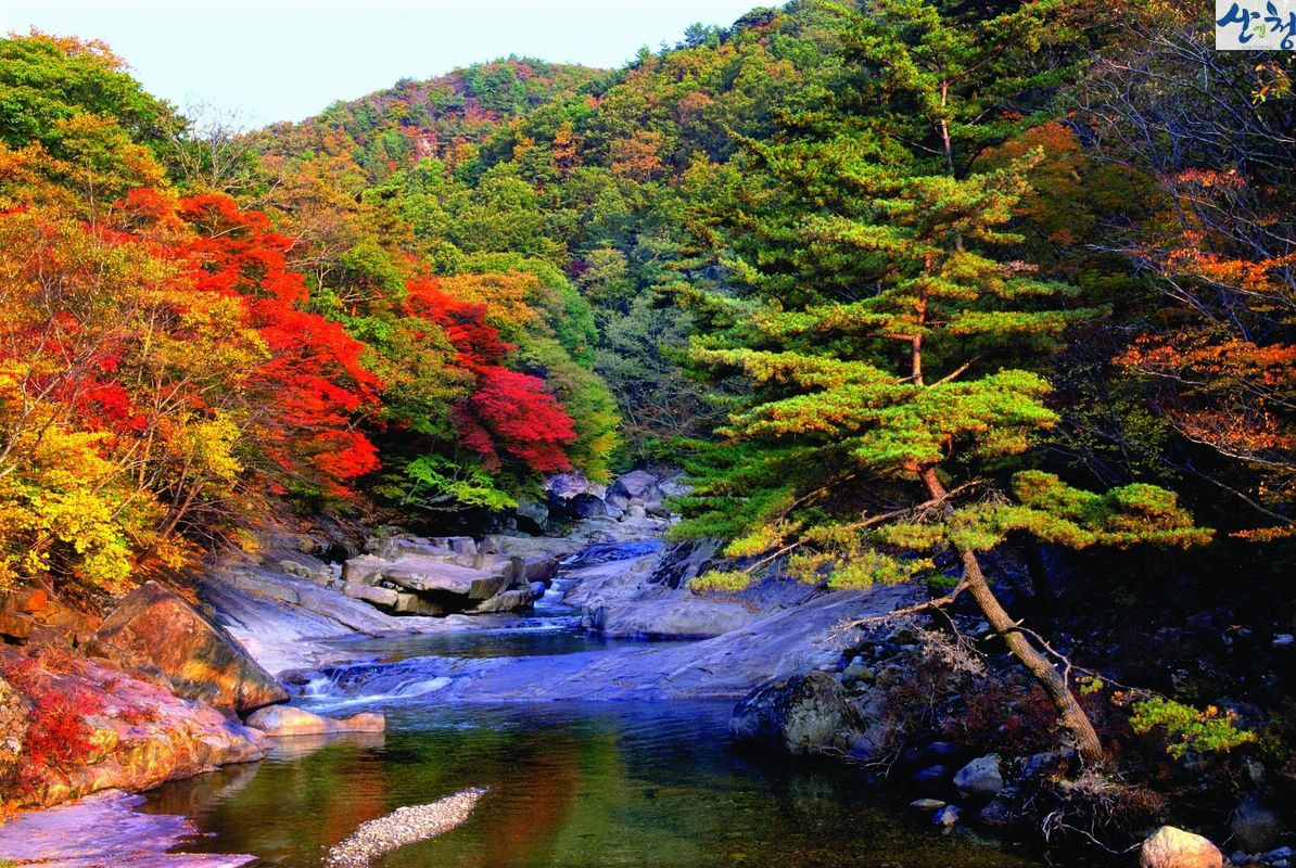 산청세계전통의약 항노화엑스포 주변 관광지