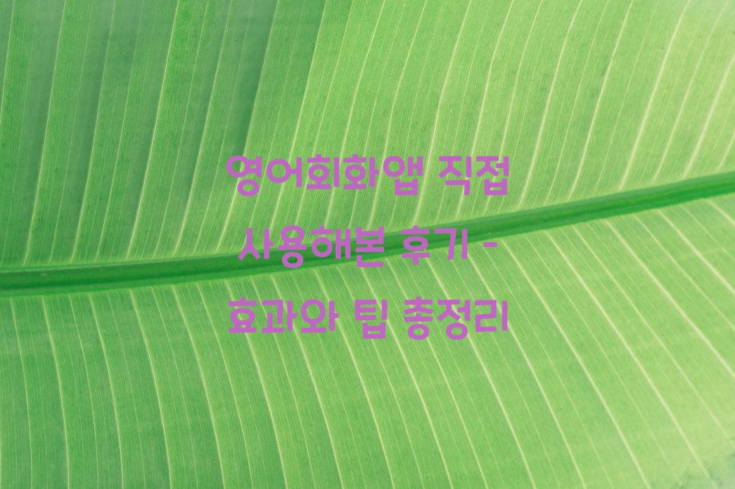 영어회화앱