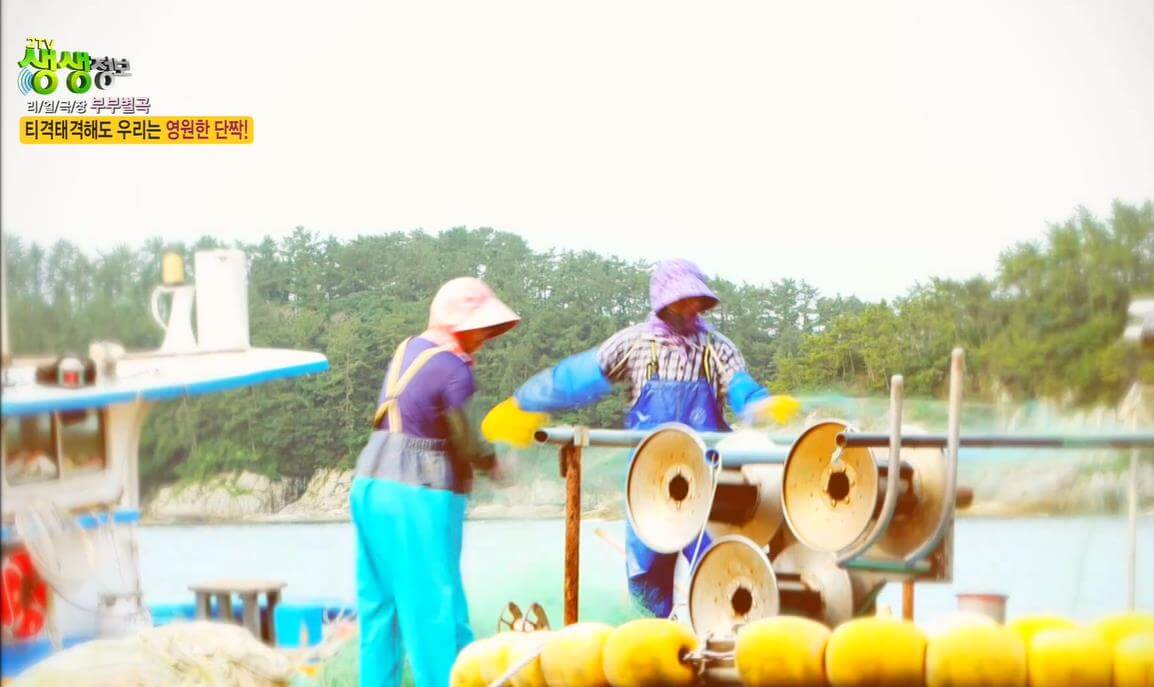 생생정보통 생활의 발견 리얼극장 부부별곡 귀어 12년 차 추도부부