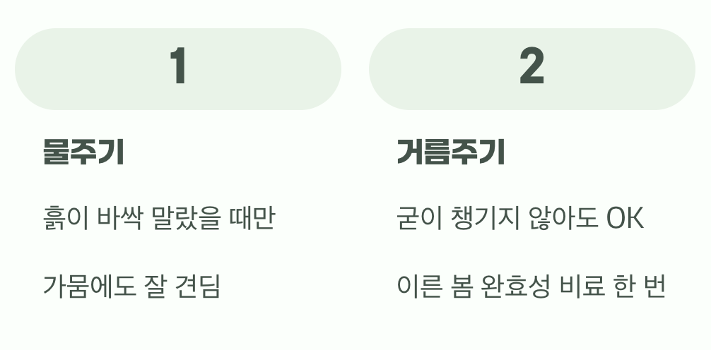 비결 2. 과한 사랑은 금물, '물'과 '거름'