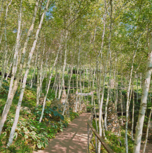 화담숲 예약 방법 화담숲 가을 단풍 명소 경기도 광주 화담숲 화담숲 모노레일 예약 화담숲 운영 시간 화담숲 입장료 화담숲 주차 정보 화담숲 방문 팁 화담숲 테마 정원 화담숲 가을 나들이 화담숲 가을 단풍 절정 화담숲 가을 단풍 시즌 화담숲 예약 꿀팁 화담숲 가족 나들이 화담숲 연인 데이트