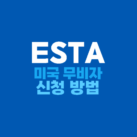 ESTA 무비자 신청 방법
