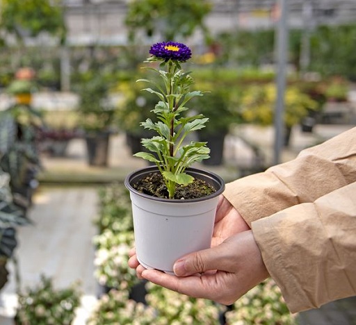 글의 이해를 돕기 위한 힐링 이미지