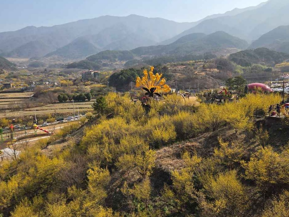 구례 산수유꽃축제 일정