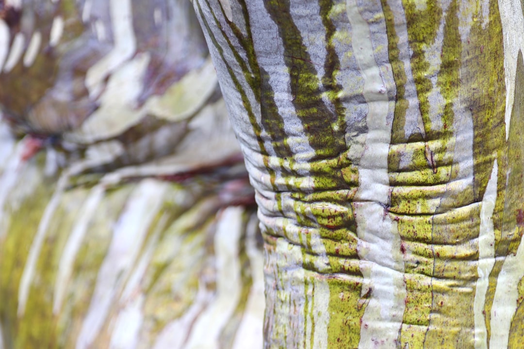Wrinkles