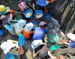 지족어촌체험마을