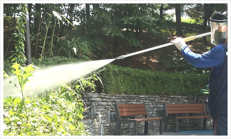 러브버그퇴치방법