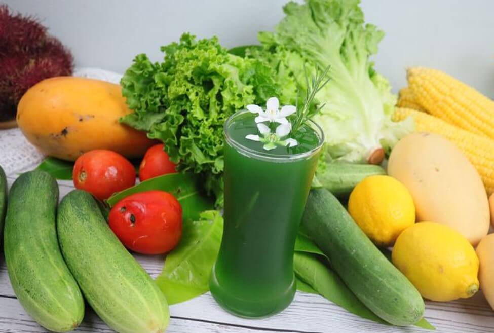 성공적인다이어트를위한10가지식이요법