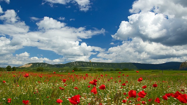 여성 생리대 바우처