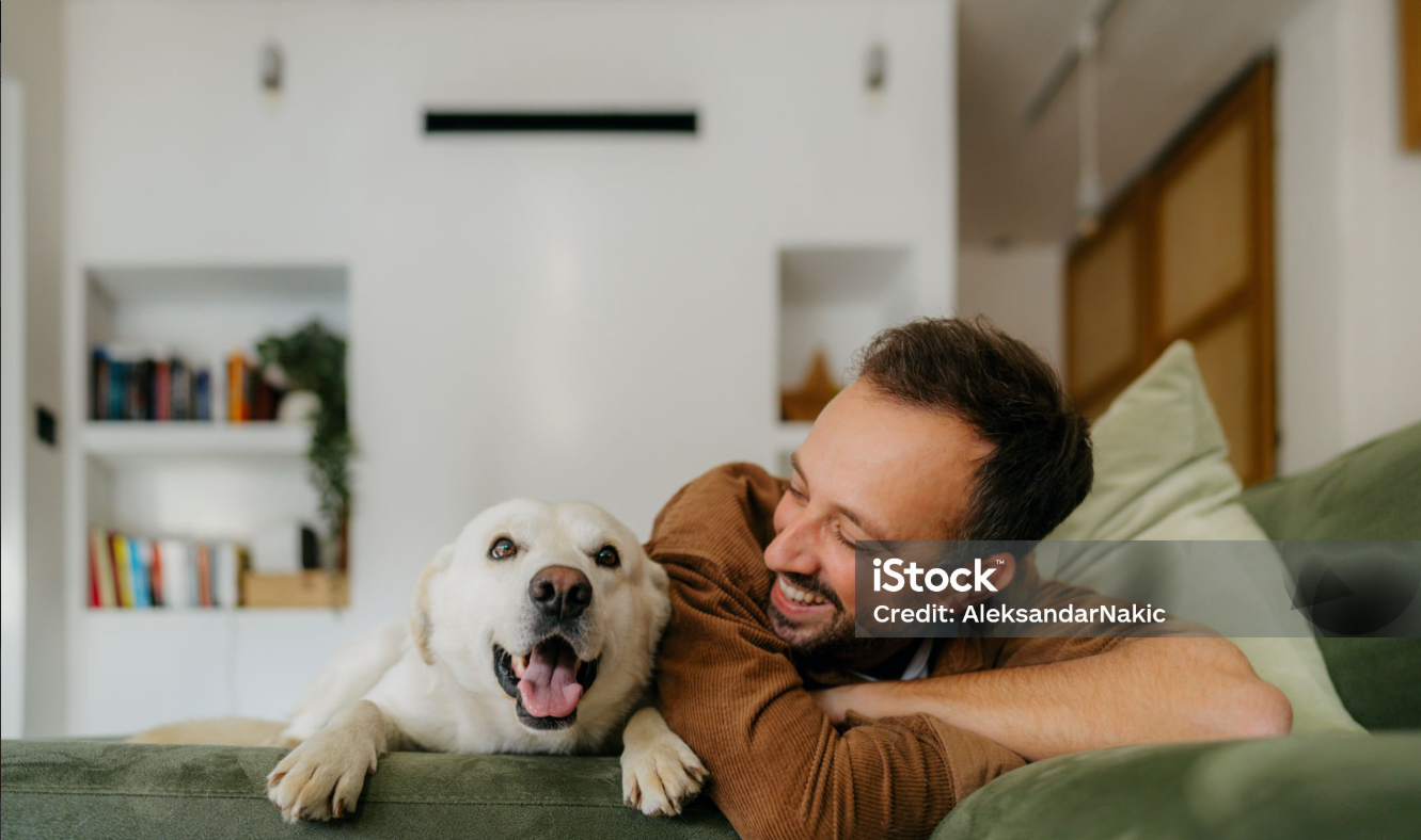 반려동물과 풍수의 조화