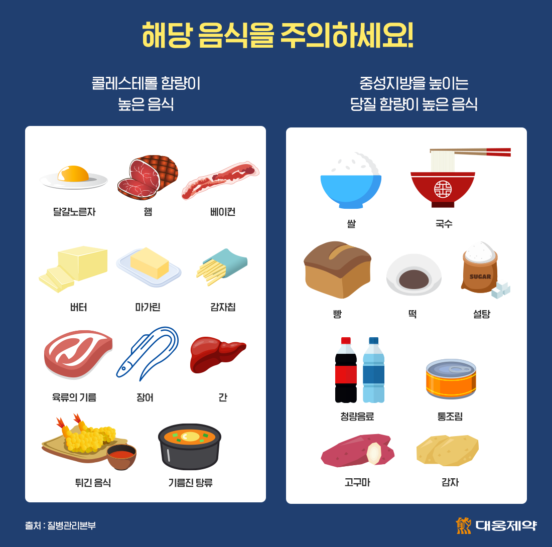 고지혈증환자가 피해야 할 음식