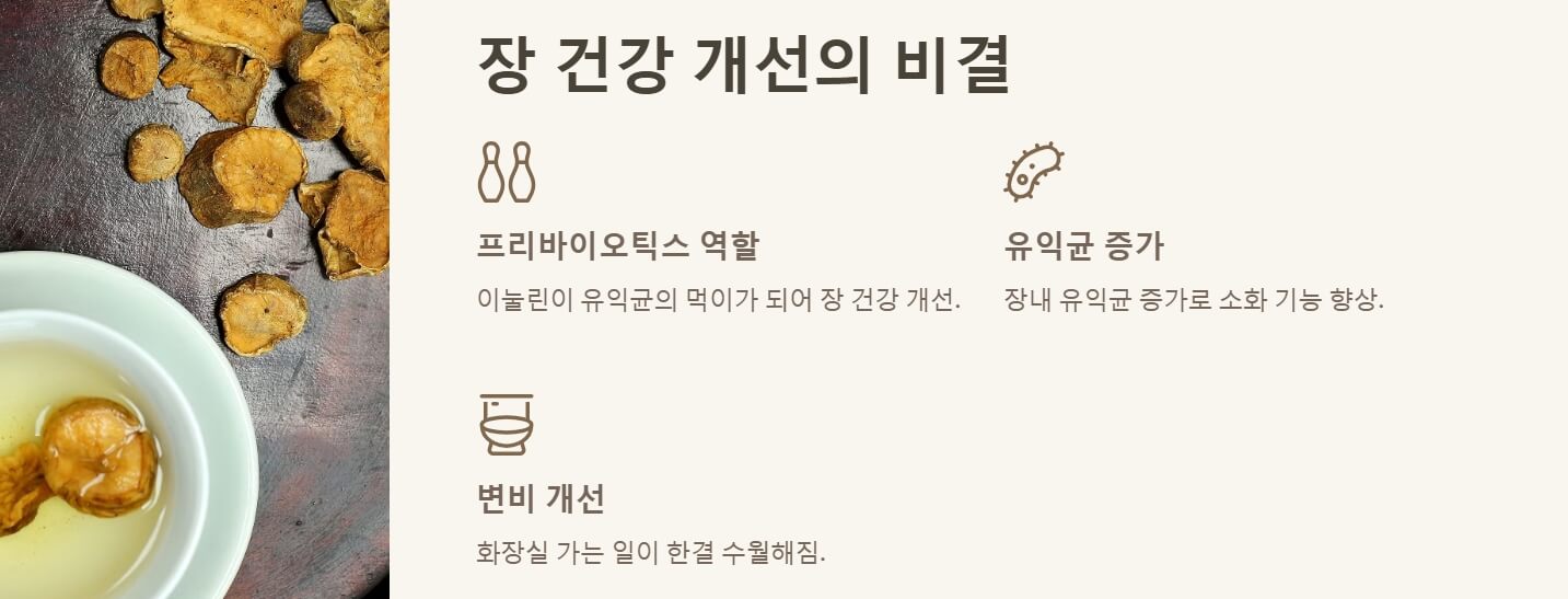 카무트 효소 효능 먹는법