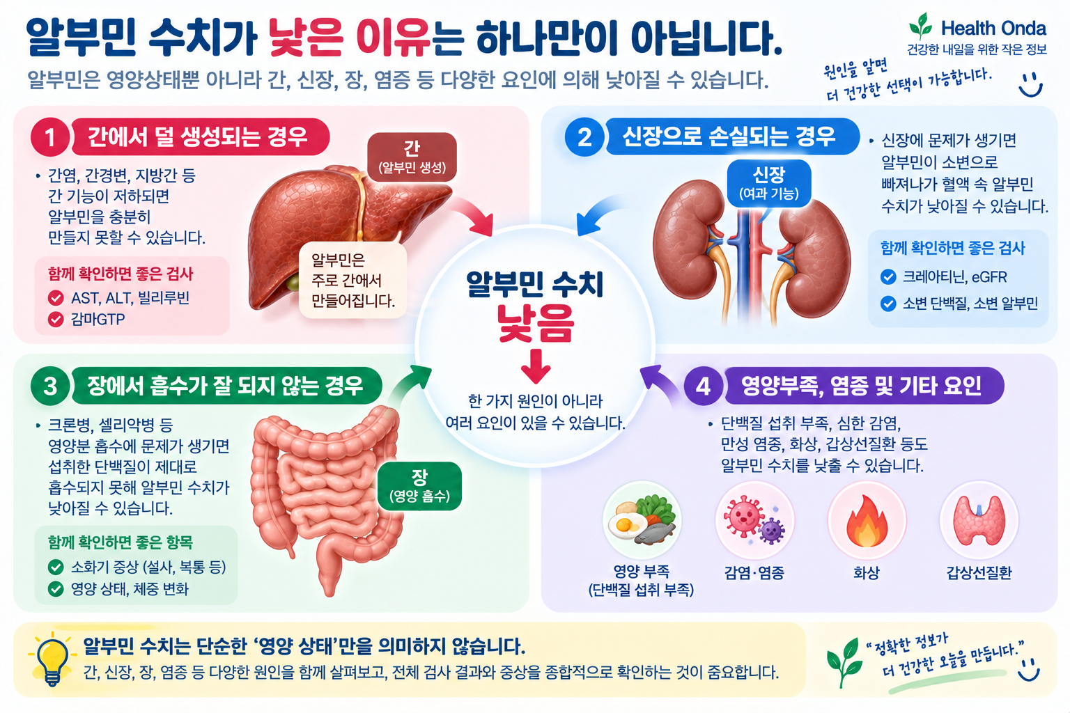 혈액 알부민과 신장·소변 단백의 관계를 설명하는 그림