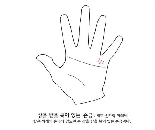 재미로 해보는 결혼점,손금 풀이 jpg,결혼하는 손금,이상형 성격 테스트 및 재미있는 테스트