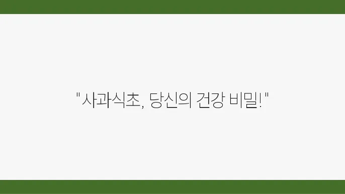 사과식초 (애사비)의 효능과 먹늕 죄정