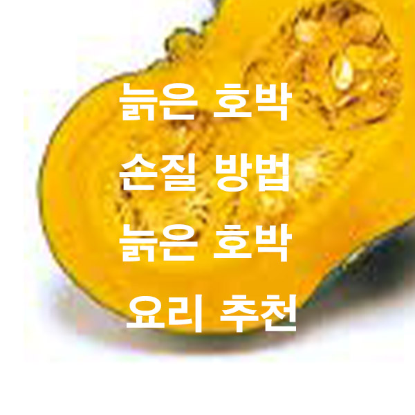 늙은 호박 손질 방법 늙은 호박 요리 추천