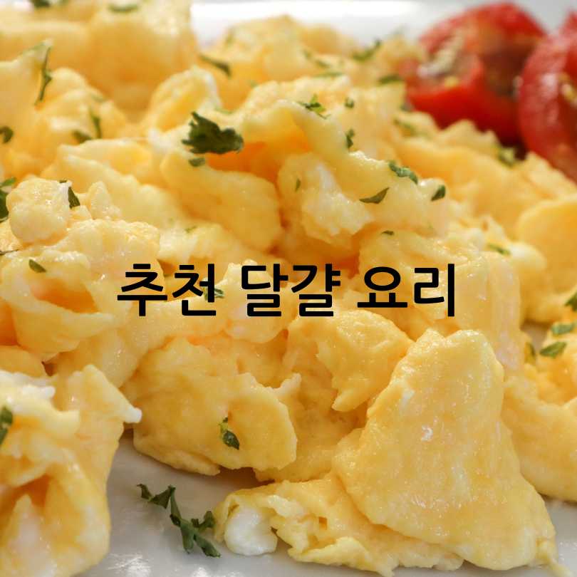 아침에 달걀, 왜 먹는 게 좋을까?
