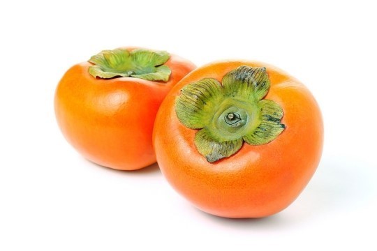 빈혈에 나쁜음식2