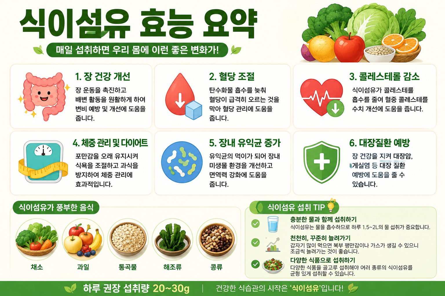 식이섬유 효능 효과