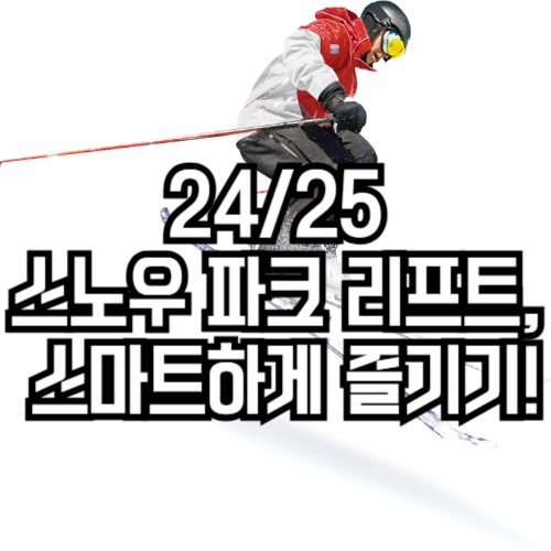 스노우파크 리프트권