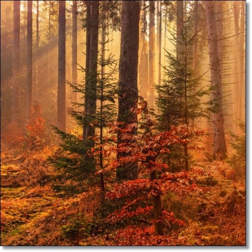 개별공시지가조회