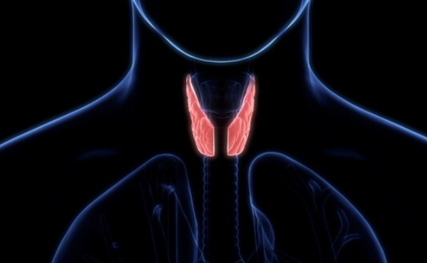 갑상선기능저하증