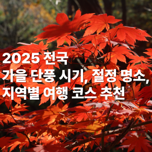 2025 전국 가을 단풍 시기와 절정 명소 총정리｜지역별 여행 코스 추천