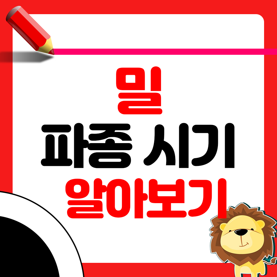 밀 파종시기와 거름 주는 방법 알아보기 1