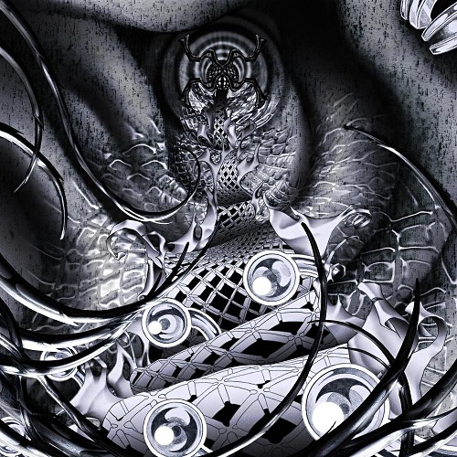 실리카겔 Tik Tak Tok 틱택톡 Feat. 황소윤 가사 노래 뮤비 곡정보