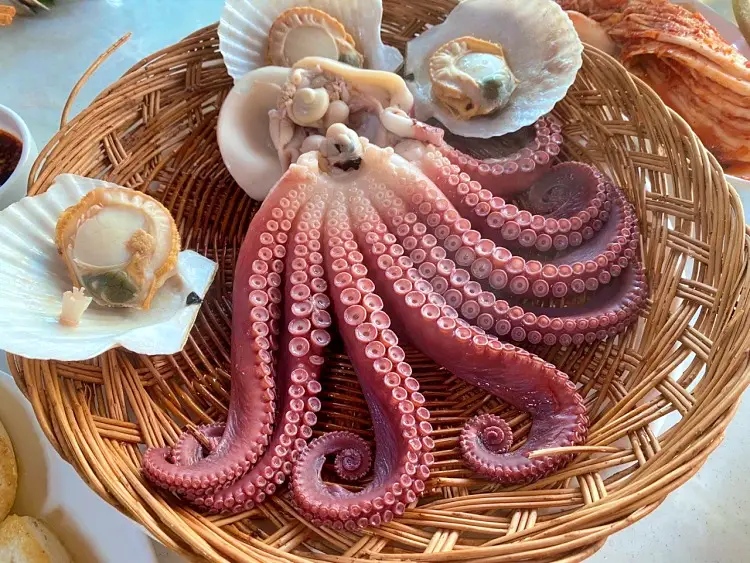 식객 허영만 백반기행 160회 김지민 편 참문어 문어숙회, 가리비 찜, 산낙지, 골뱅이 무침 맛있는 실내 포차 동해 삼척 7번국도 노포 맛집 소개