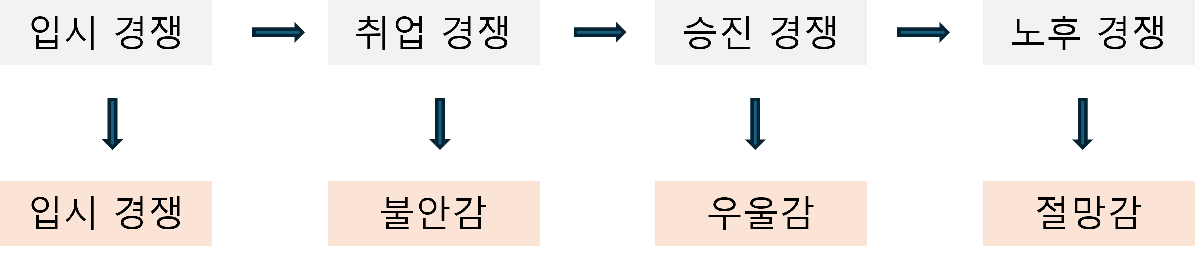 극도의 경쟁 사회 구조