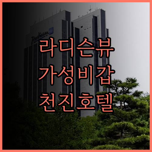라디슨 호텔 천진 아쿠아 시티 후기 