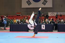 광저우 아시안 게임 태권도 일정 선수 명단 태권도 정의 룰 금메달 요약 정리