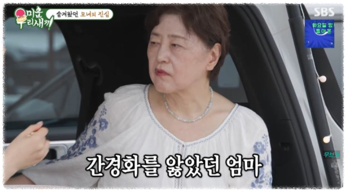 이수 린 이혼 미우새 방송