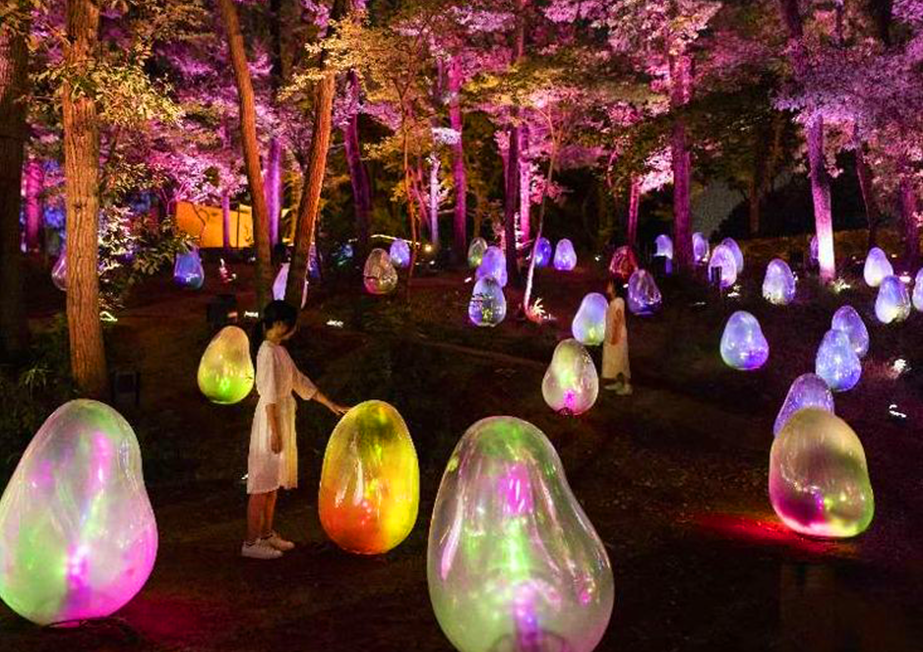 2025 대덕물빛축제