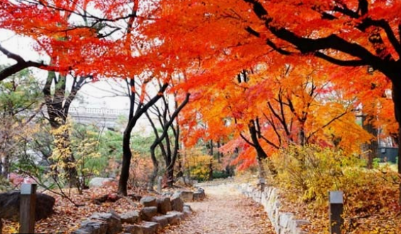 2025 내변산 단풍 절정 시기 &amp; 코스 추천 ❘ 직소폭포&middot;내소사 가을여행