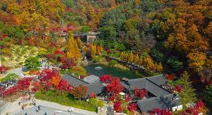 화담숲 예약하기