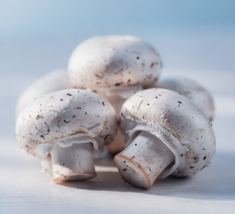 간에 좋은 음식 10