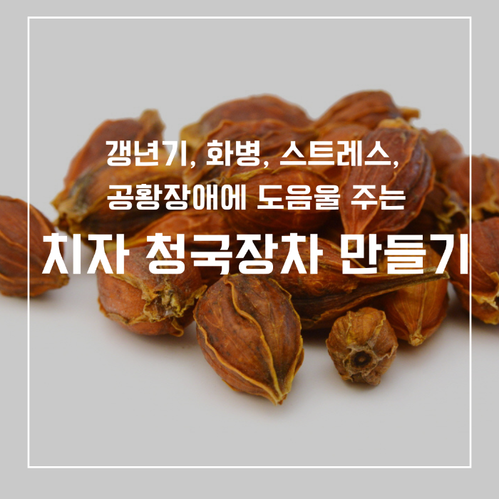 치자 청국장차