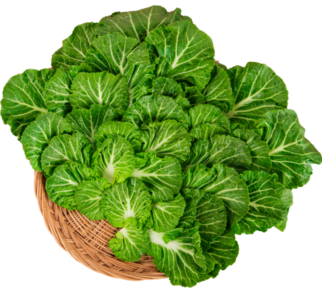 2월 제철음식 봄동 알아보기