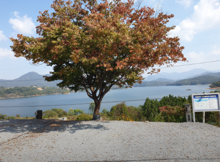 청풍호반 오토캠핑장