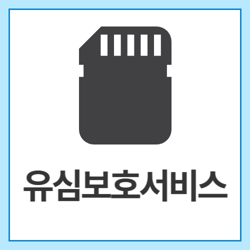 유심보호서비스