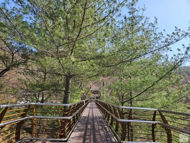 옥천 가볼만한 곳