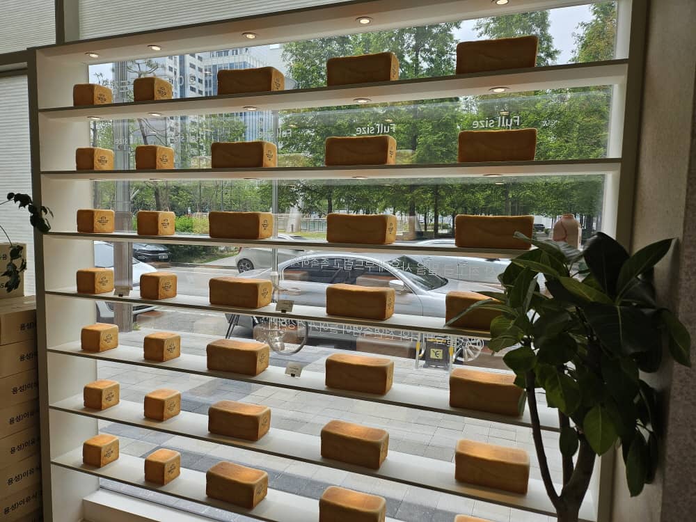 송도 화이트리에