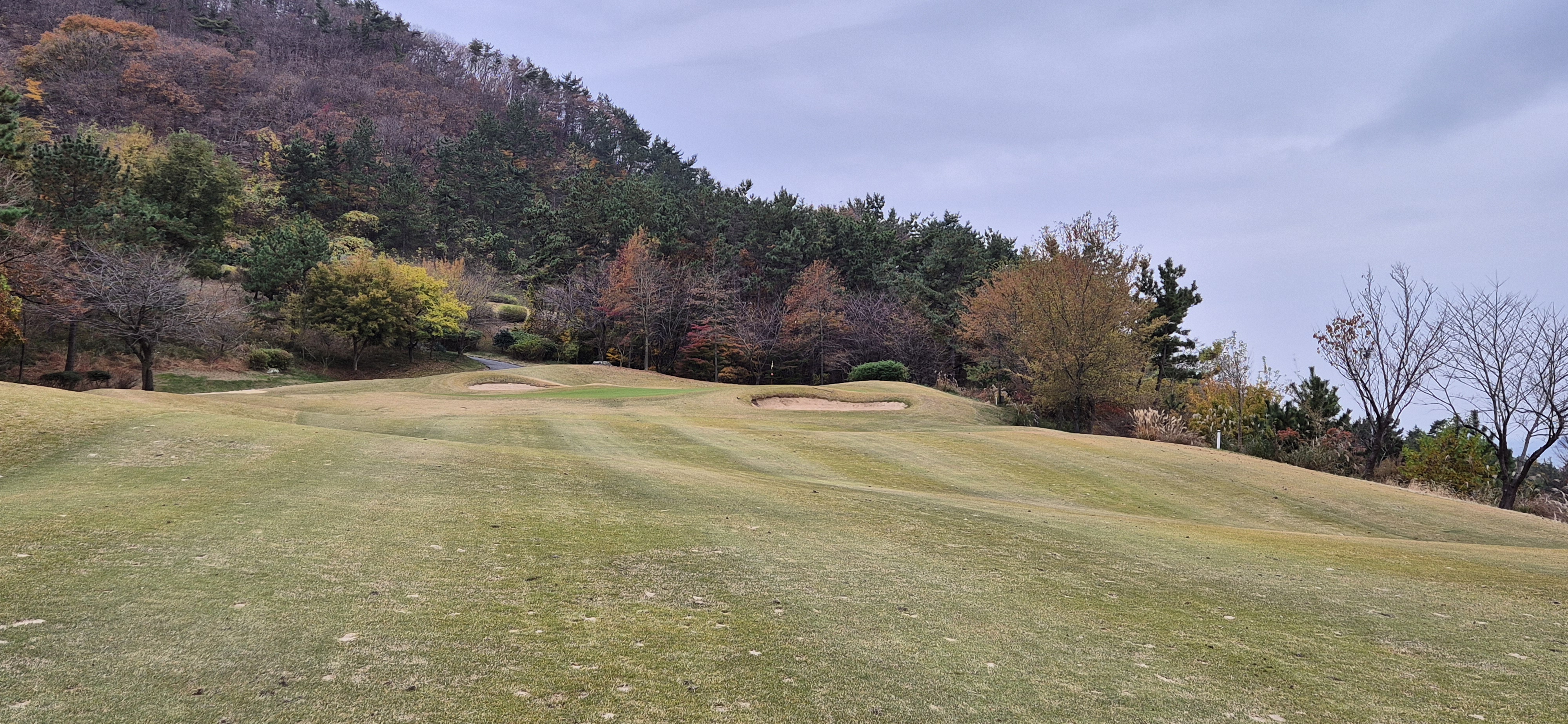 골든베이cc 오션 코스 사진 및 공략 정보