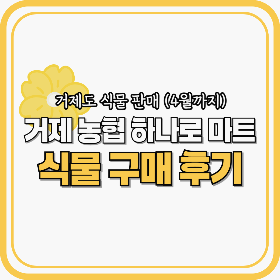 거제도식물구매후기